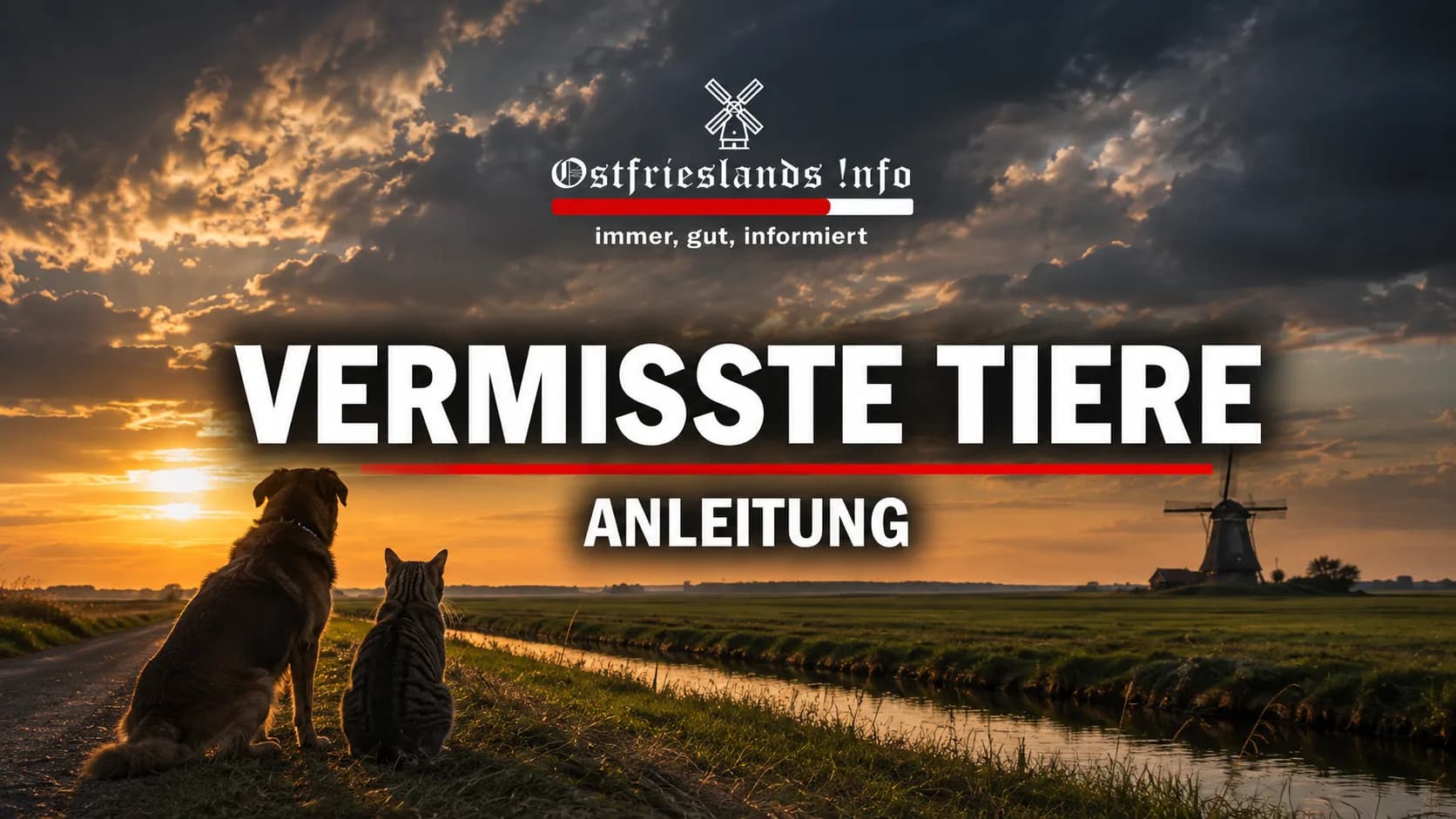🐾 Tier vermisst? So können wir euch helfen!